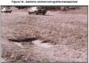 figura 1
