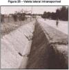 figura 4