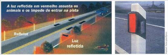 figura 4