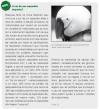 Figura 4